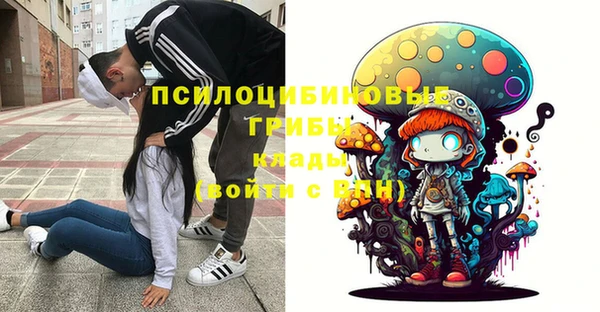 первитин Михайлов