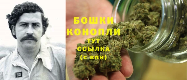 стаф Надым