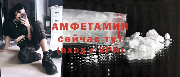 первитин Михайлов