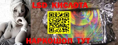 крисы Новодвинск