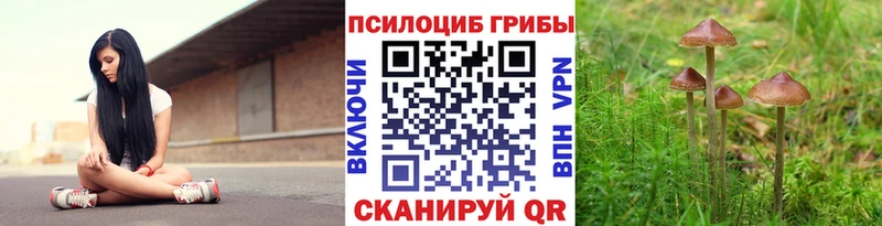 Галлюциногенные грибы Cubensis  Тула 