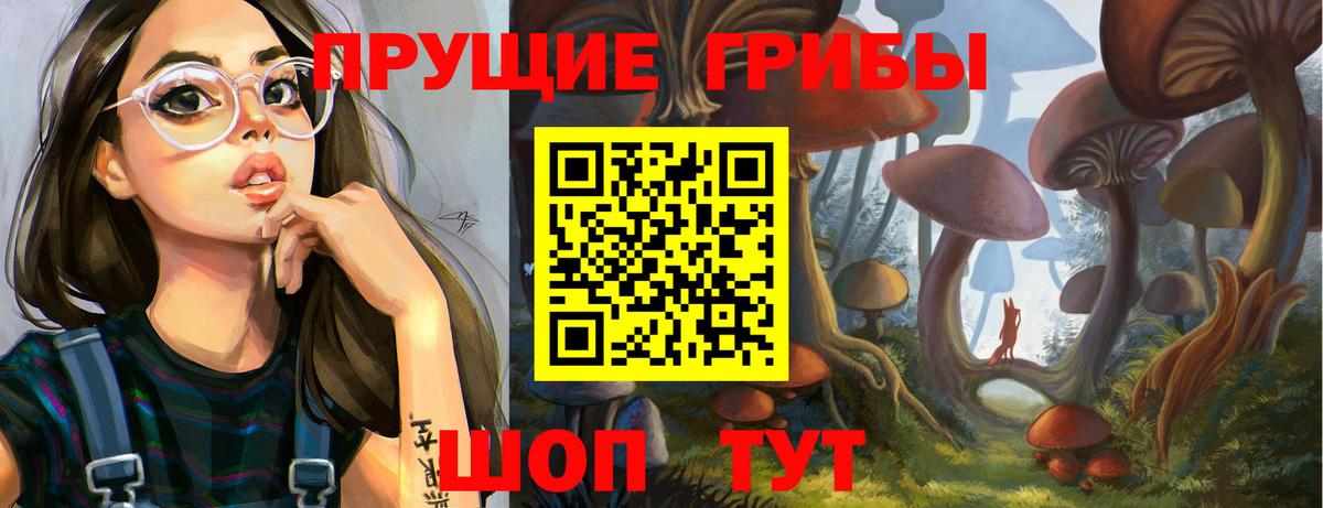 Псилоцибиновые грибы мицелий  Вход с VPN  Галлюциногенные грибы GOLDEN TEACHER  Тула 